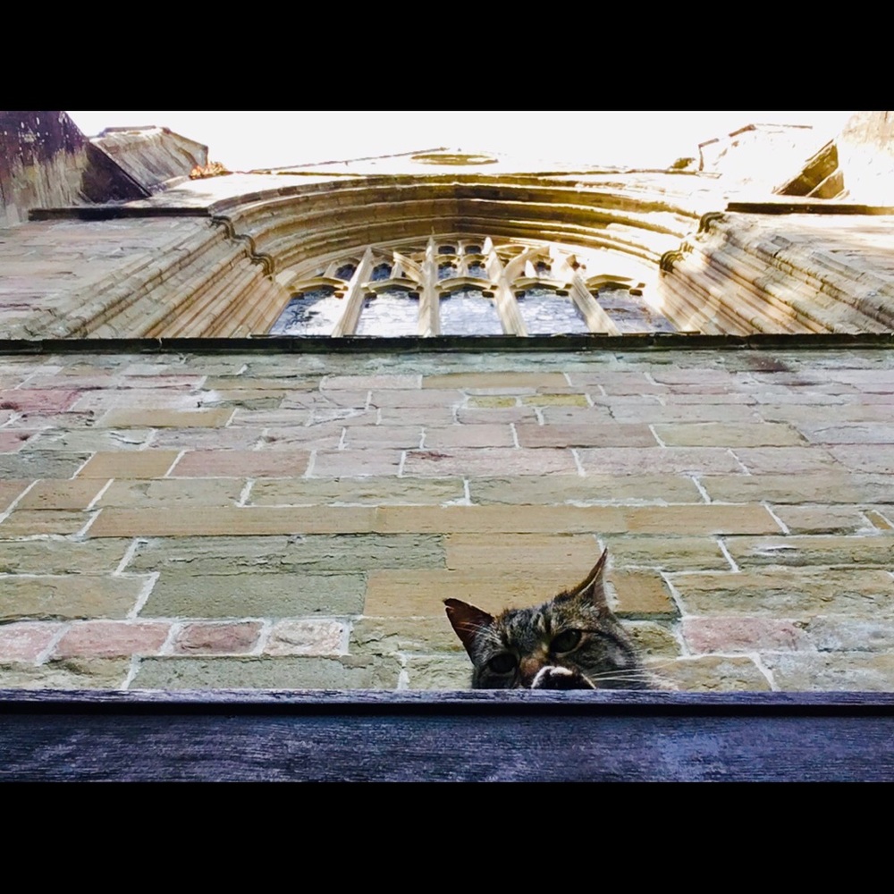 Meet your Posher, Ivonne